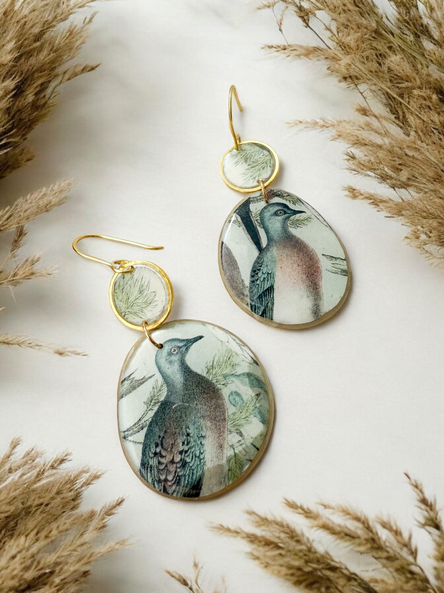 Passenger Pigeon Earrings